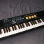 Cambio teclado por instrumento de cuerda