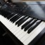 KORG DS8.