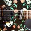 Vendo guitarron esp M2 Deluxe Roses and Skulls Nºserie 60311