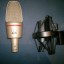 Micrófono condensador AKG C3000B