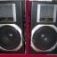 ALTAVOCES 25W  6 OHM.