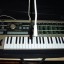 MICROKORG+FUNDA GATOR DE REGALO