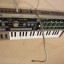 MICROKORG+FUNDA GATOR DE REGALO
