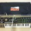 MICROKORG+FUNDA GATOR DE REGALO