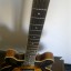 335, S101 GUITARS,  REBAJADA!!!