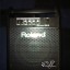 AMPLIFICADOR ROLAND PM 10