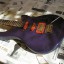 Washburn Maverick
