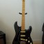 Stratocaster a piezas, cuerpo 2 piezas, mastil Allparts,pastillas bobinadas a mano! Cambio por baja telecaster o ampli!!