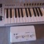 Tarjeta Yamaha Audiogram 3 y teclado MiDi Evolution Mk225c