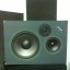 Monitores Alesis monitor two