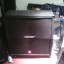 Pantalla 4x12 Peavey