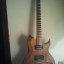 WASHBURN WI65 PRO
