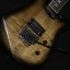 Cambio por Les Paul, japonesa o americana  con pastillas alnico pro II Slash.