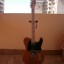 Squier Affinity Tele BB - Reservada