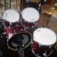 MAPEX PRO-M BURDEOS