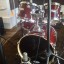 MAPEX PRO-M BURDEOS