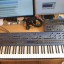 ¡Nuevo precio Rebajado!- Novation Supernova II