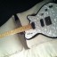 Godin Radiator