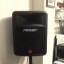 Pareja altavoces PEAVEY