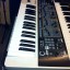 ROLAND GAIA SH01