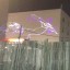 Laser RGB de 5W (5.000mw REALES) + software Quickshow de Pangolin + Cable