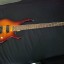 peavey international 5 cuerdas 195 euros cambio por combo de guitarra