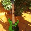 " VENDIDA YA " GUITARRA ESP ( LTD ) MH100QMFR CON FLOYD ROSE