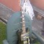 fender big block telecaster diamond