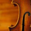 Violines profesionales