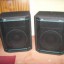 Pareja de cajas Peavey Hisys 1