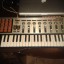 Vendo Korg microKONTROL y Digidesign Mbox 2.