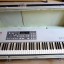 Teclado controlador AKAI MX73 por Plato Giradiscos u otras cosas