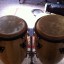 Pareja de Congas marca blanca