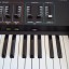 Crumar Multiman S + Soporte Ultimate