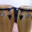 Pareja de Congas marca blanca