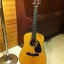 SAMICK SW-210/12Cuerdas
