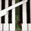 Clases de Composición, Armonía, Teoría Musical, Piano, Finale (Online o presenciales)