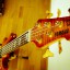 Bajo Yamaha Nathan East I 5 cuerdas con pastillas Delano y previo Noll