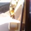 Cort S-2800