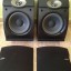 Bose 301 serie V