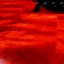 /cambio: Carvin DC400 Ruby Red Custom