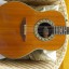 Ovation 1612 Custom Balladeer año 1976. USA