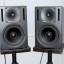 PAREJA GENELEC 1030A