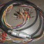 Conjunto de mangueras