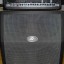 Peavey VALVEKING VK100 + pantalla