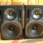 Vendo pareja de Behringer Truth B2031A con Isopads o cambio por Technics