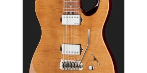 Harley Benton Fusion-T HH Roasted FNT