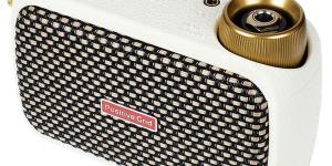 Positive Grid Spark Go PW