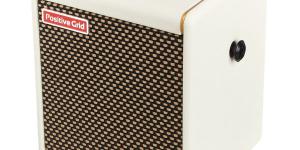 Positive Grid Spark Mini PW