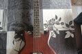 Guitarra Ibanez AX110XL